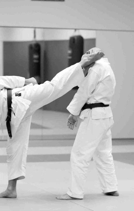 Main image of Bushido Pully