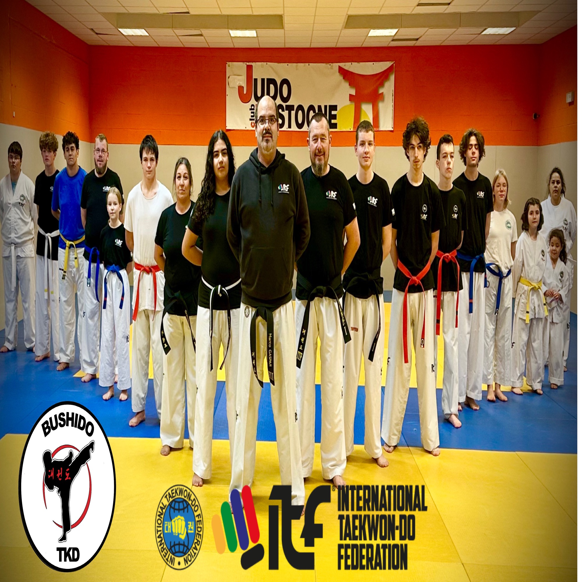 Main image of Bushido Tkd