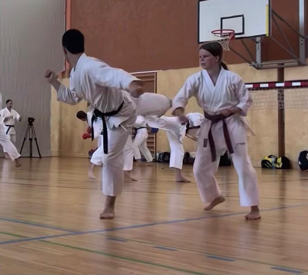 Main image of Bushido Villach