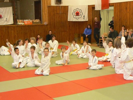 Main image of Bushidokai