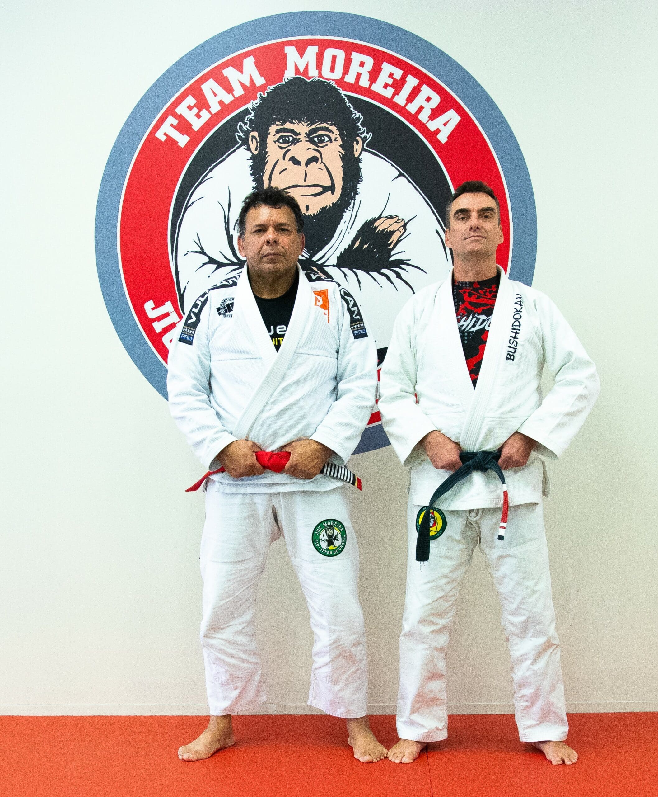 Main image of Bushidokan Martial Arts