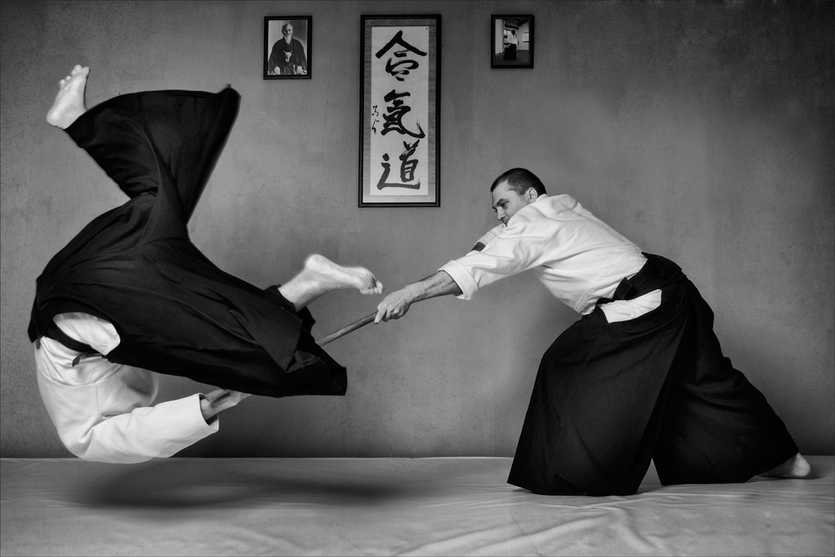 Main image of Bushin Aikido