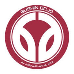 Main image of Bushin-Dojo Academy