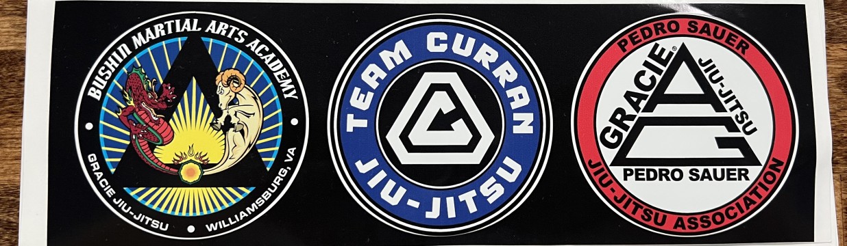 Main image of Bushin Martial Arts Academy-Williamsburg