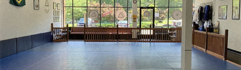 Main image of Bushin Martial Arts Jiu-Jitsu Richmond