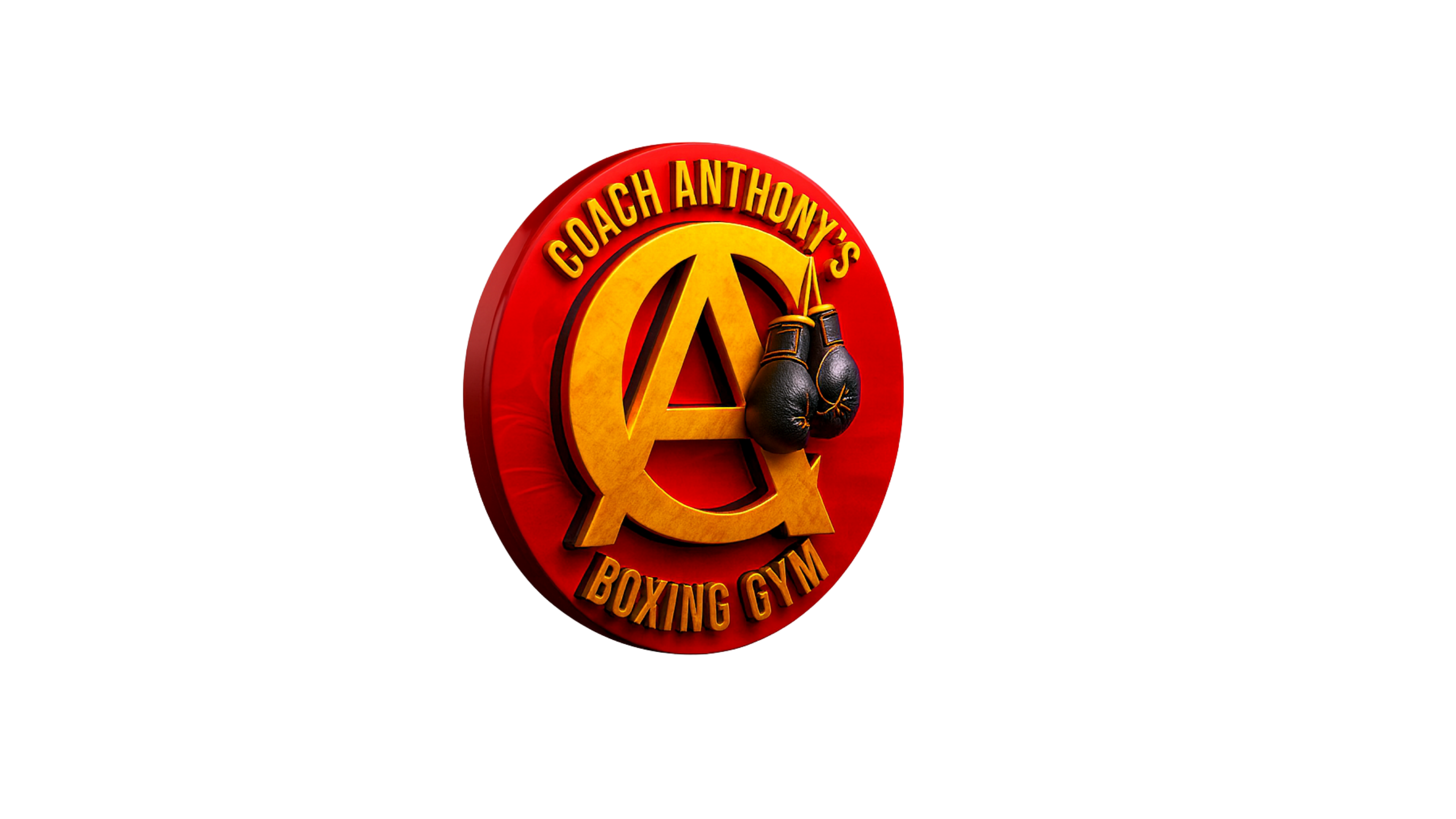 CA Boxing Gym academy photo