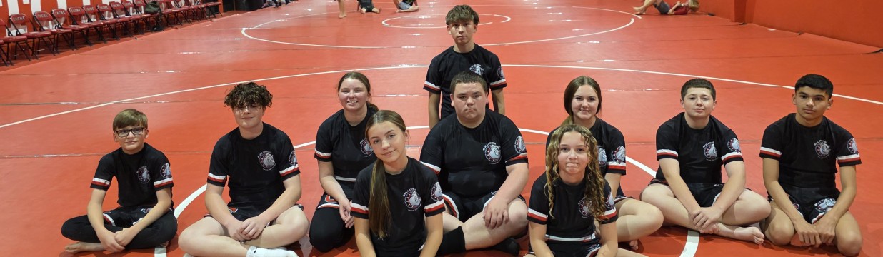 Main image of Cache Bulldogs Jiu-Jitsu Club.