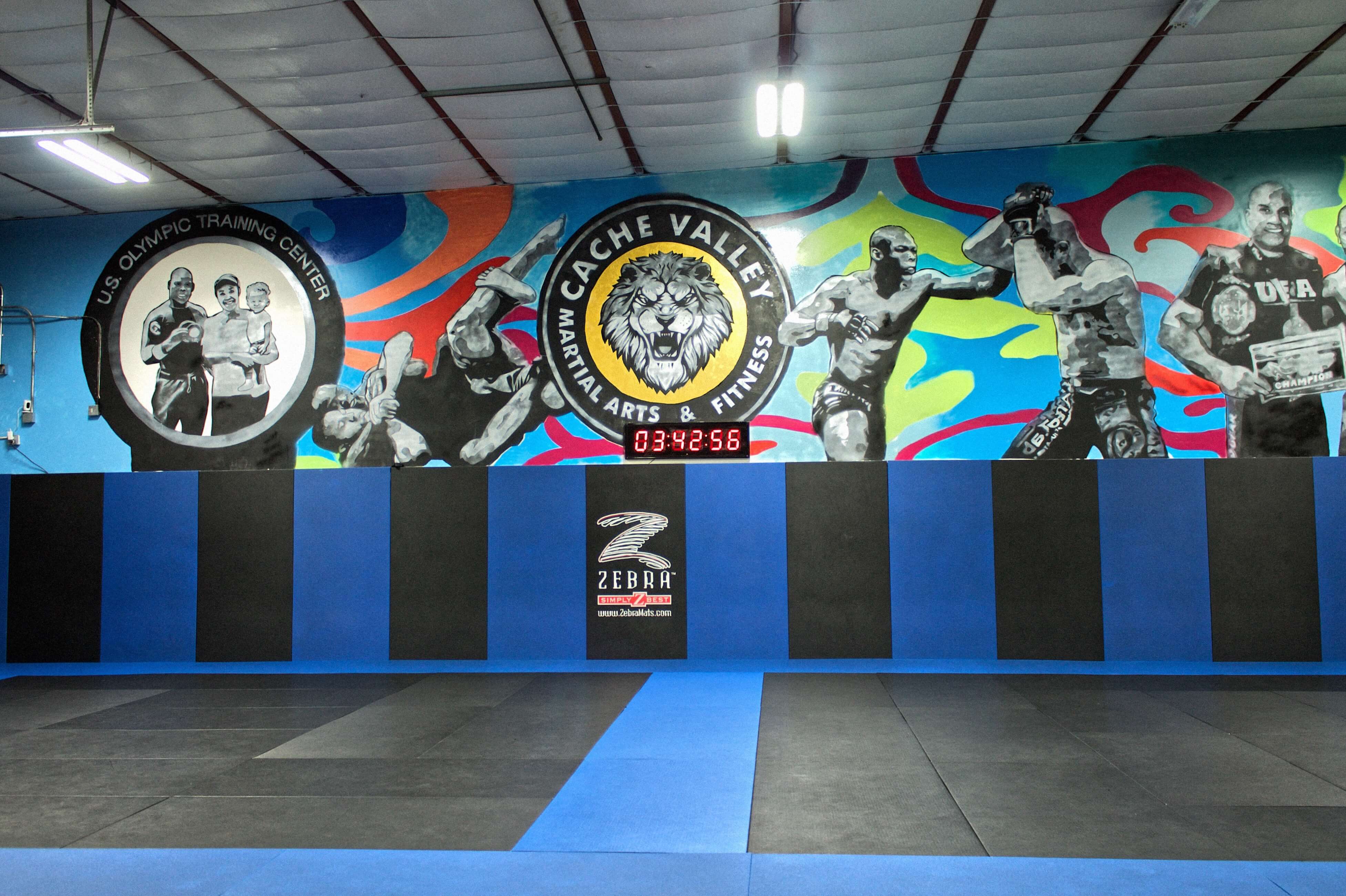 Cache Valley Martial Arts and Fitness