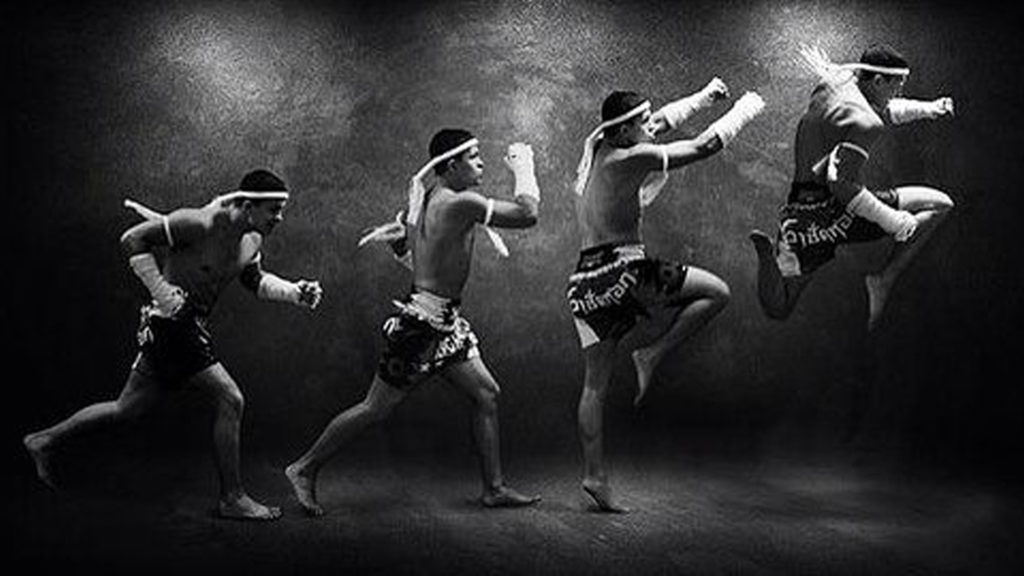 Main image of Camp Grão Mestre Luiz Alves Muay Thai