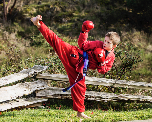 Main image of Canada's Best Karate