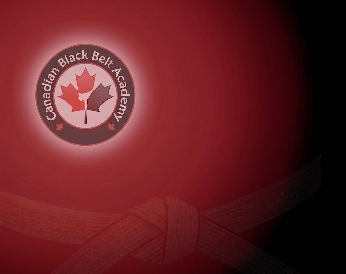 Main image of Canadian Black Belt Academy – Mississauga Karate & Jiu-Jitsu