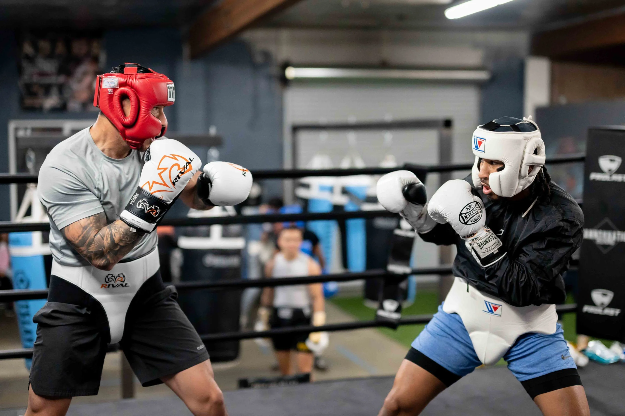 Cannonnation Boxing Gym academy image