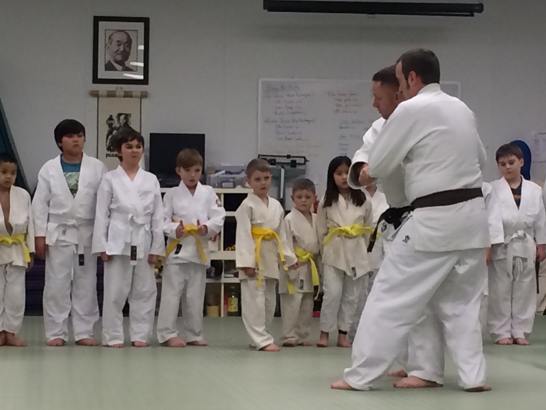 Main image of Capital City Judo