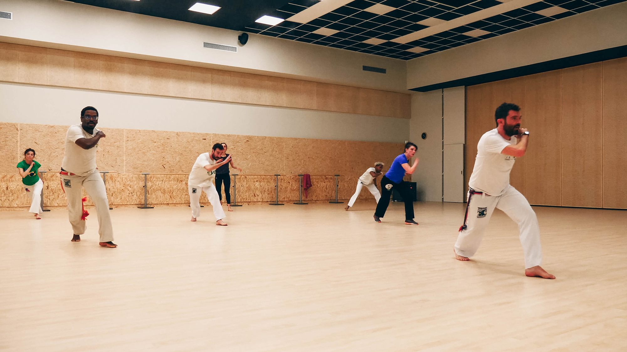 Main image of Capoeira Besouro