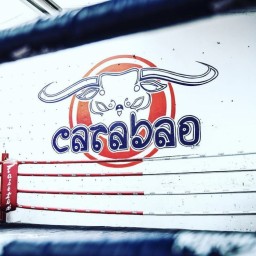 Main image of Carabao Bremen