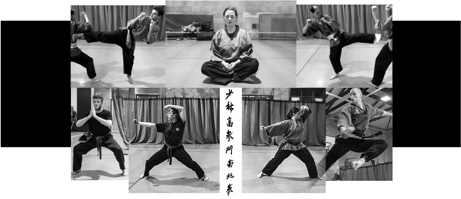 Main image of Cardiff Roath Nam Pai Chuan Kung Fu