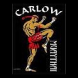 Main image of Carlow Muay Thai