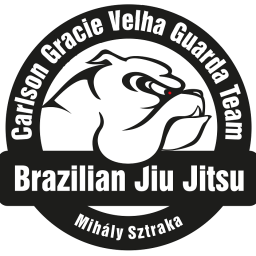 Main image of Carlson Gracie Velha Guarda Team