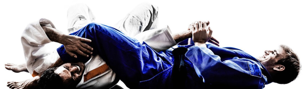 Main image of Carlson Gracie WILD CARD