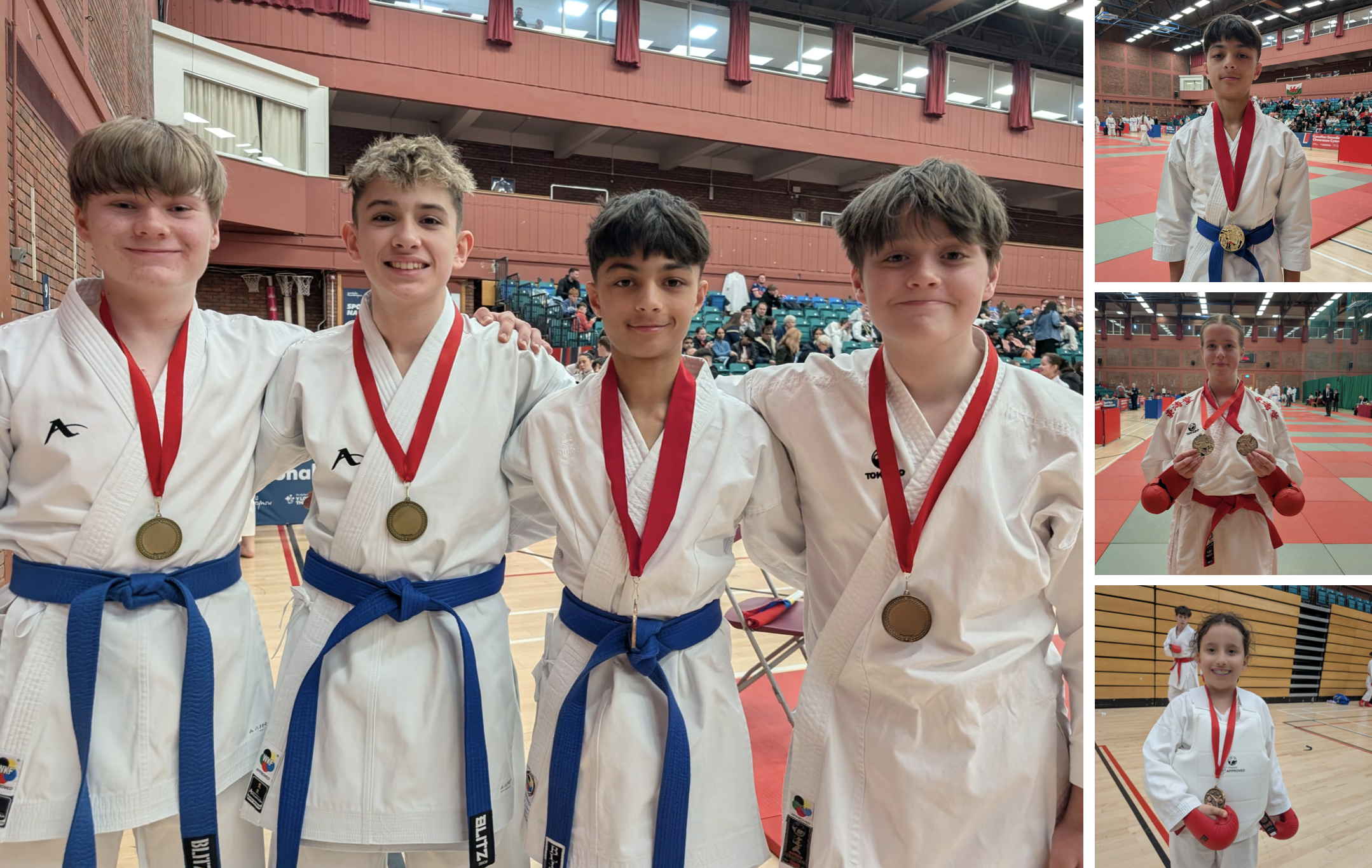 Main image of Carmarthenshire Karate
