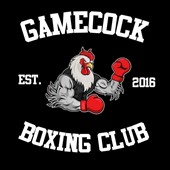 Carolina Boxing Club academy image