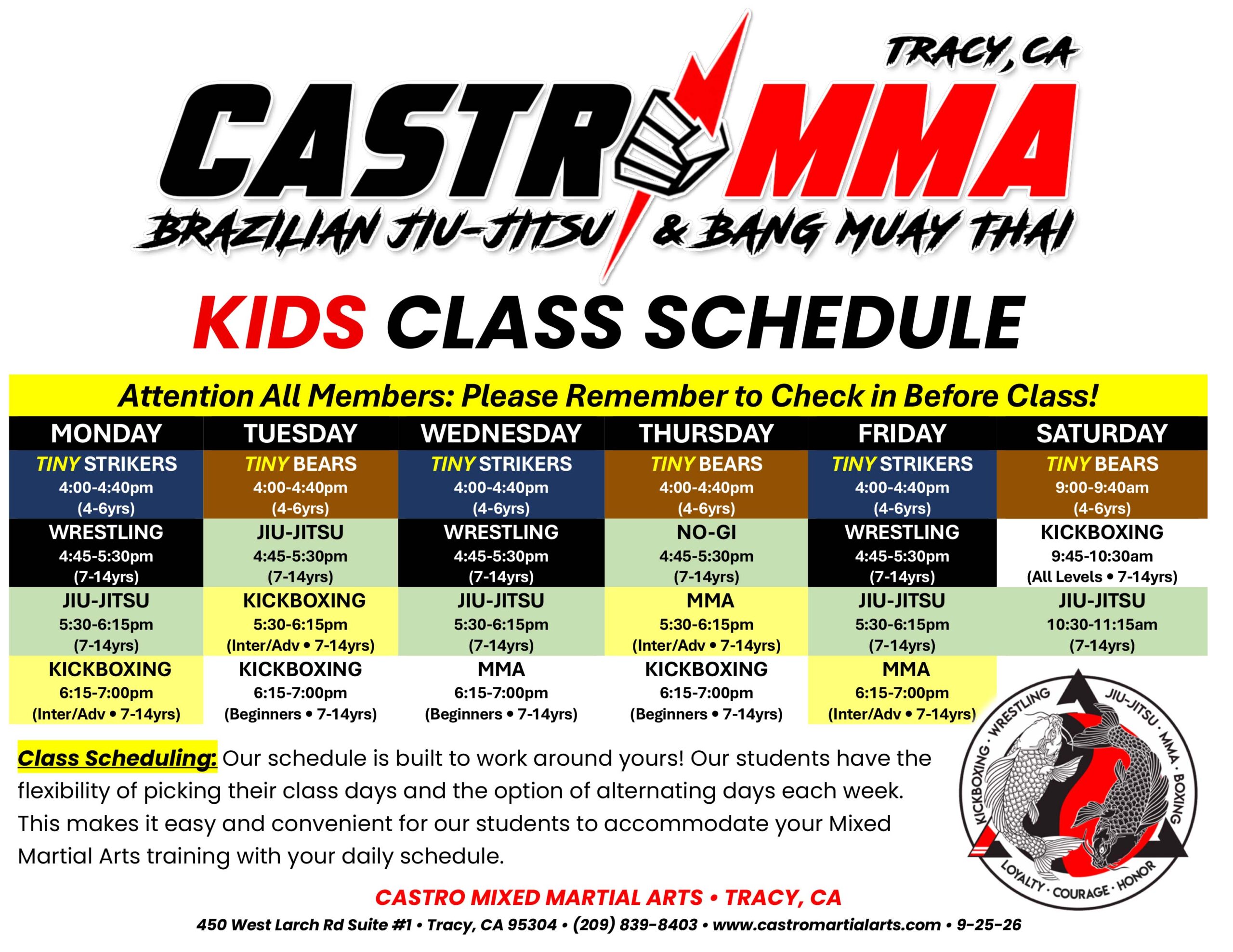 Main image of Castro Mixed Martial Arts • Patterson,CA