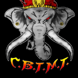 Main image of CBT Muay Thai/Iron Dojo