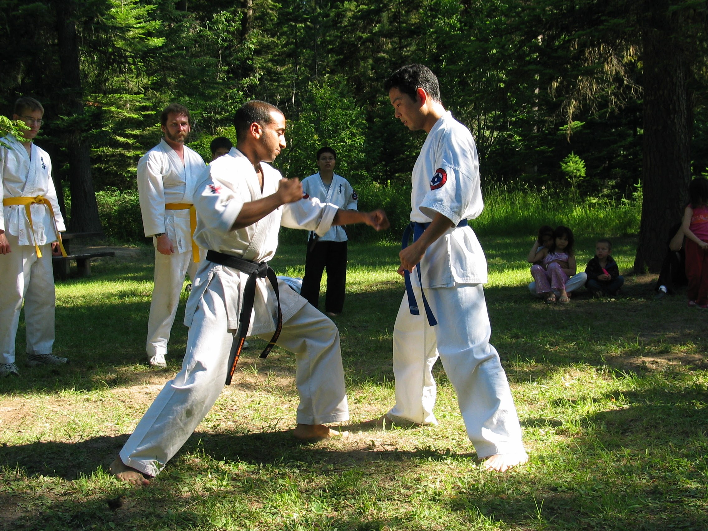 Main image of Central Kyokushin Karate