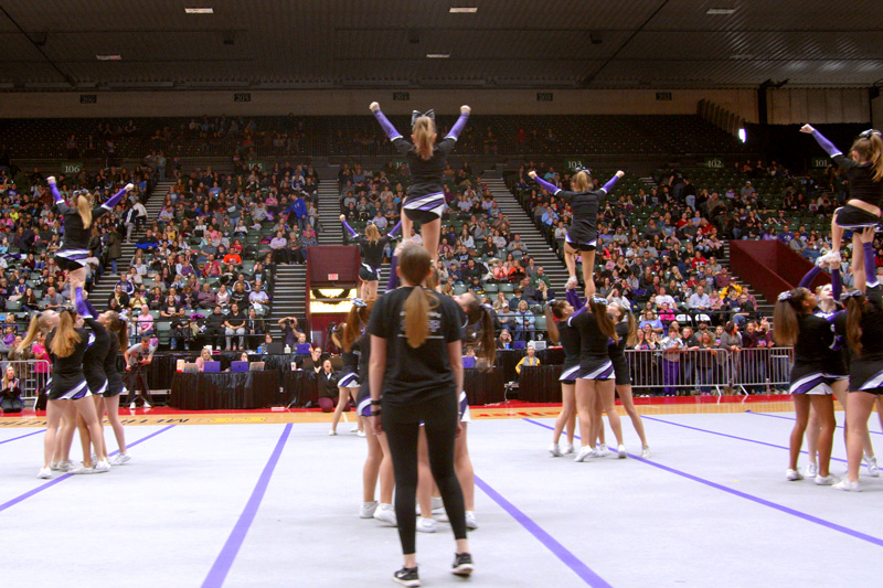 Main image of Champion Force Athletics