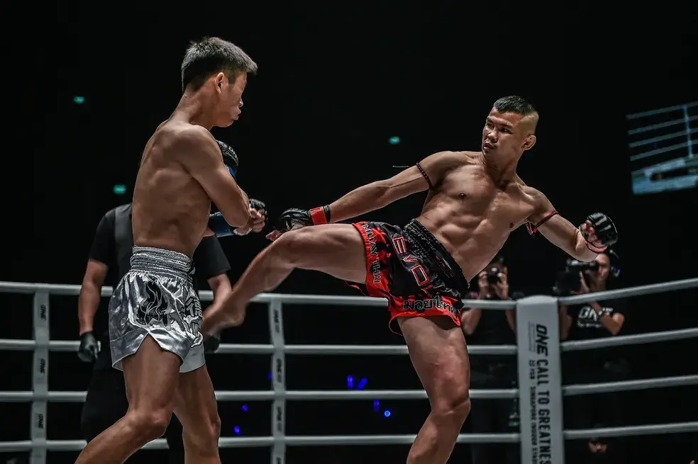 Main image of Champions Fighters
