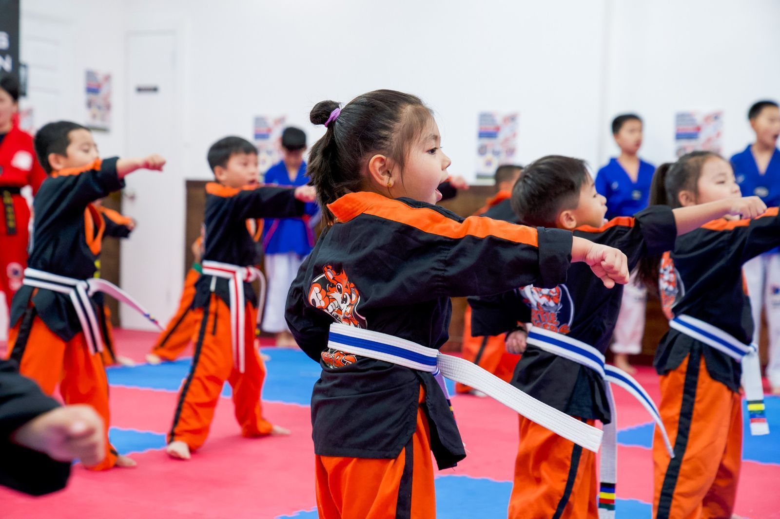 Main image of Champions Martial Arts HQ