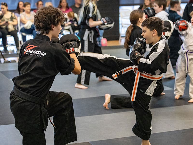 Main image of Championship Martial Arts