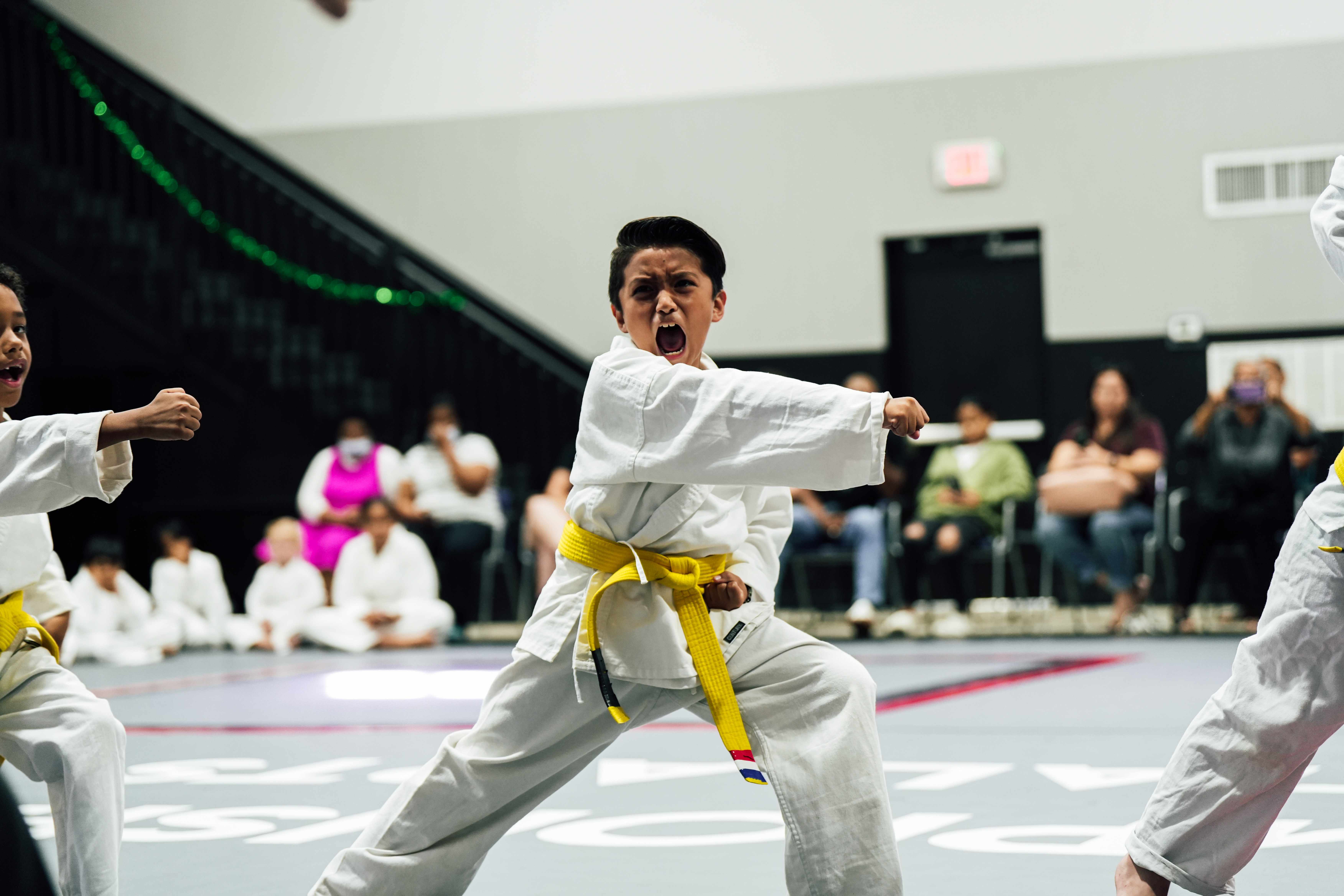 Championship Martial Arts - World Training Center