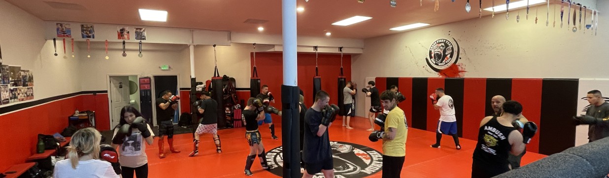 Main image of Chaos Fight Team