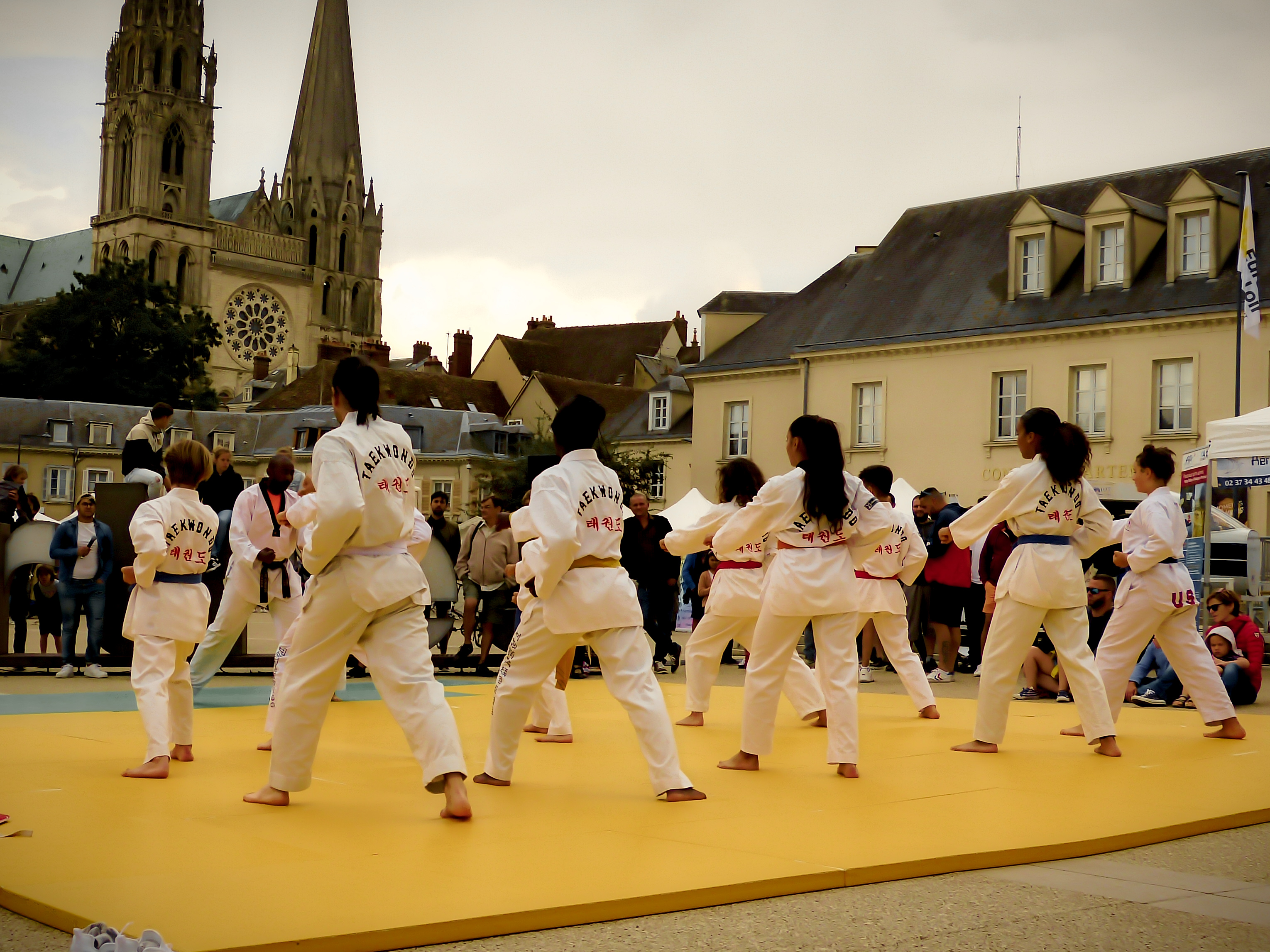 Main image of Chartres Metropole Taekwondo