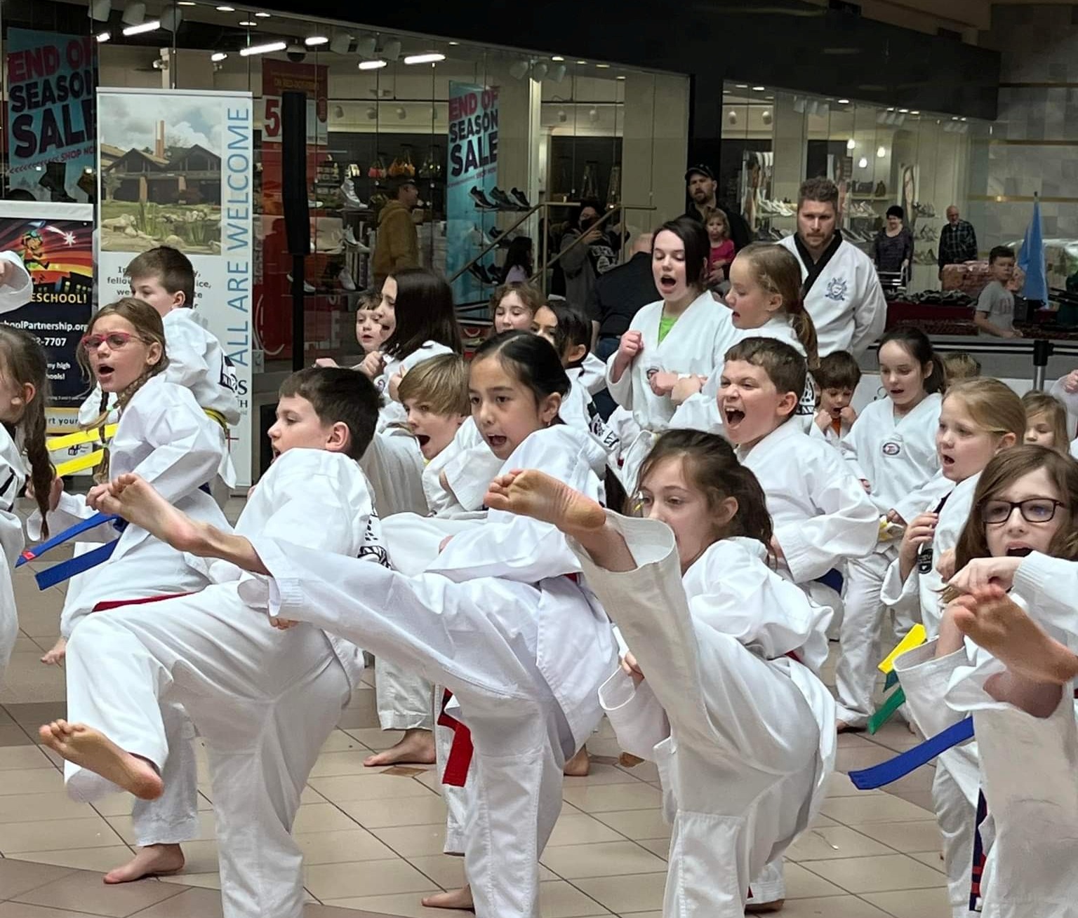 Main image of Che Ko and Grey Wolf Martial Arts Academies
