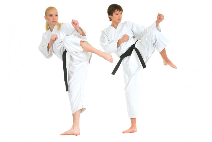 Main image of Cho Elite Tae Kwon Do