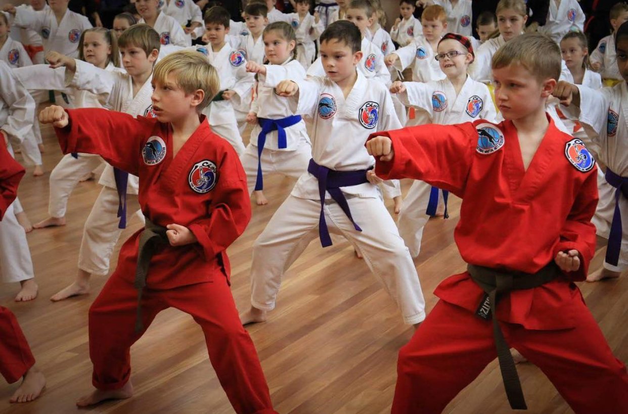 Main image of Cho's Ameris TaeKwonDo