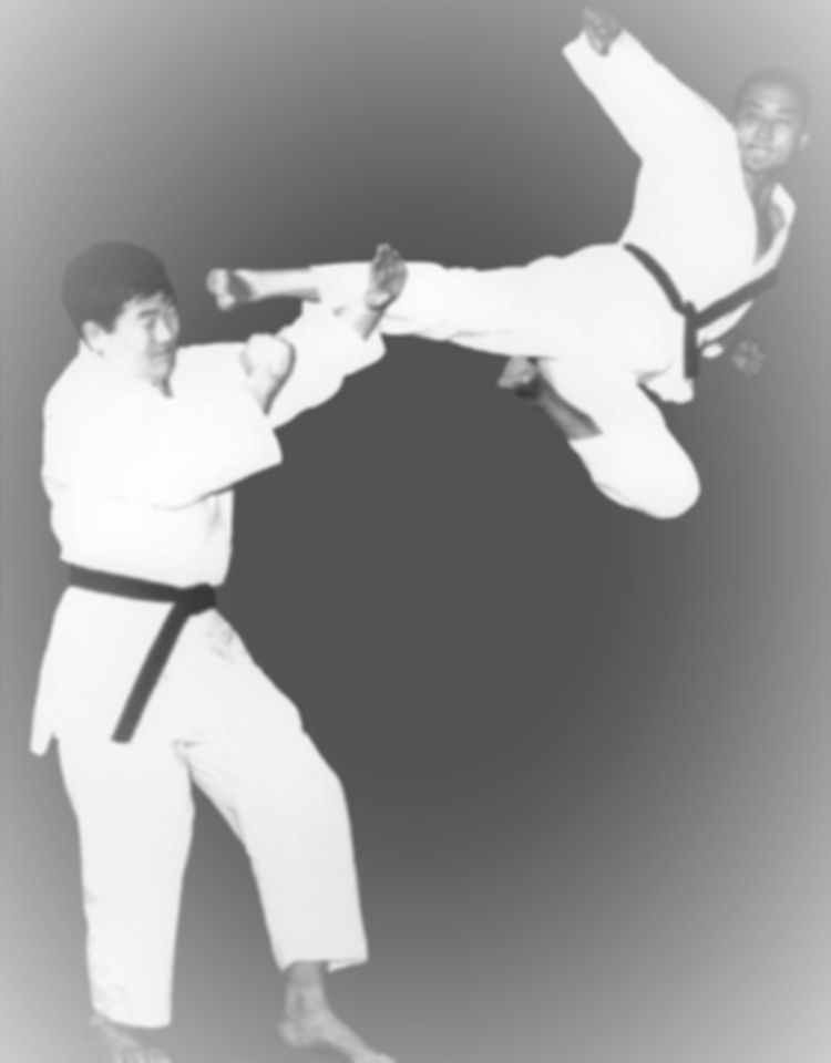 Main image of Cho's Yong Sa Taekwondo & Bongsul Academy
