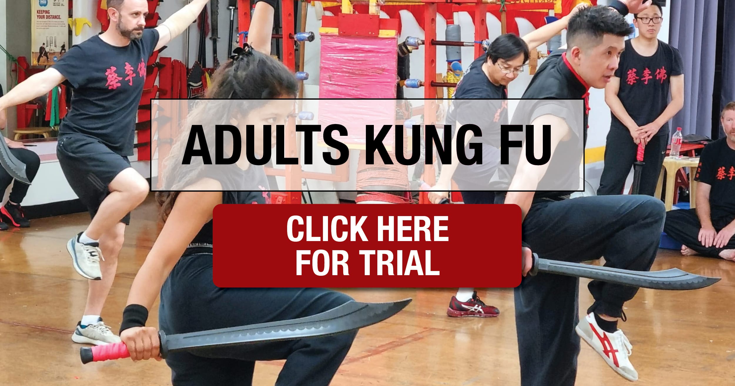 Main image of Choy Lee Fut Kung Fu and Qigong