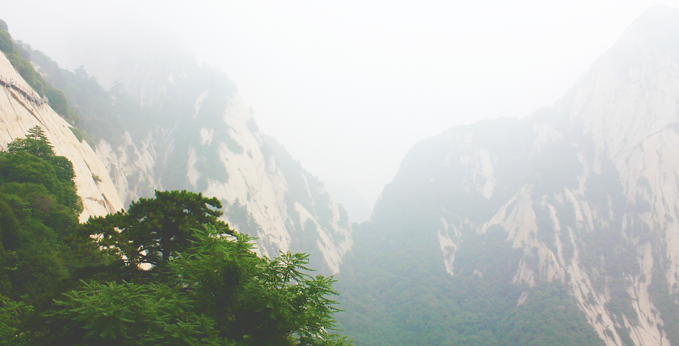 Main image of Chuan Wu Kung Fu