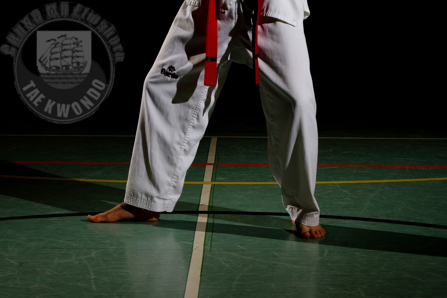 Main image of Chung Mu Elmshorn Verein Für Taekwondo