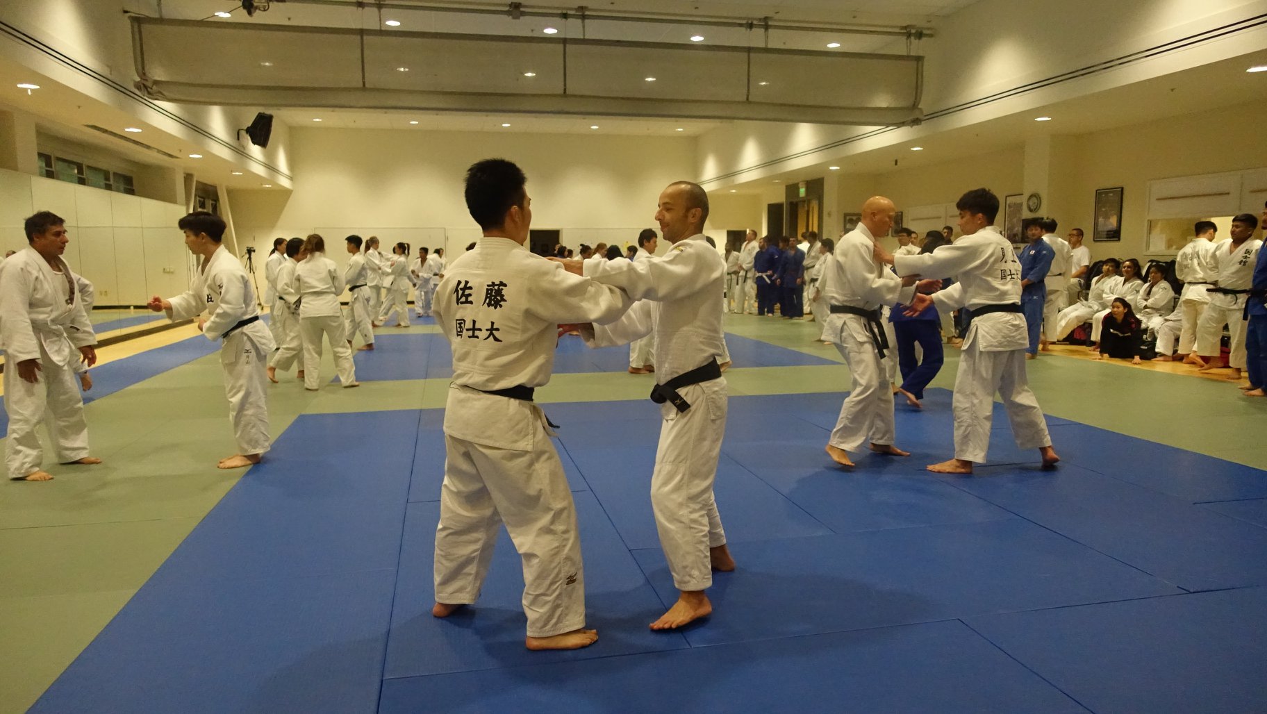 Main image of City College of San Francisco Judo Club