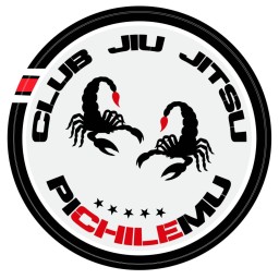 Main image of club bjj pichilemu