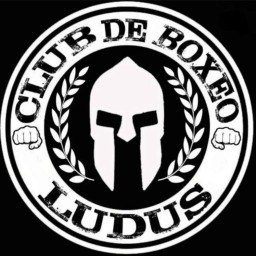 Main image of Club de Boxeo Ludus