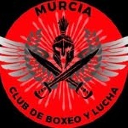 Main image of Club de boxeo y lucha de Murcia