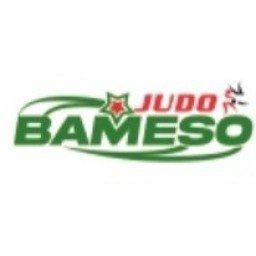 Main image of Club de Judo Bameso