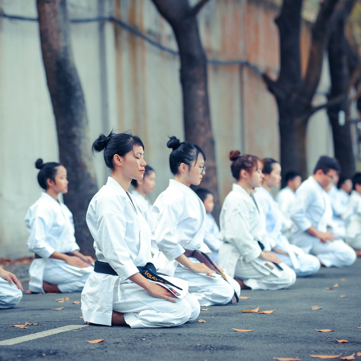 Main image of Club Karate Kangaroo