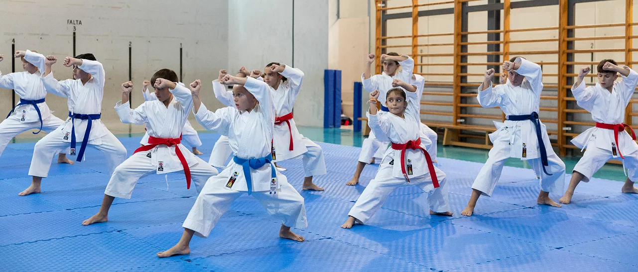 Main image of Club Karate Seishin