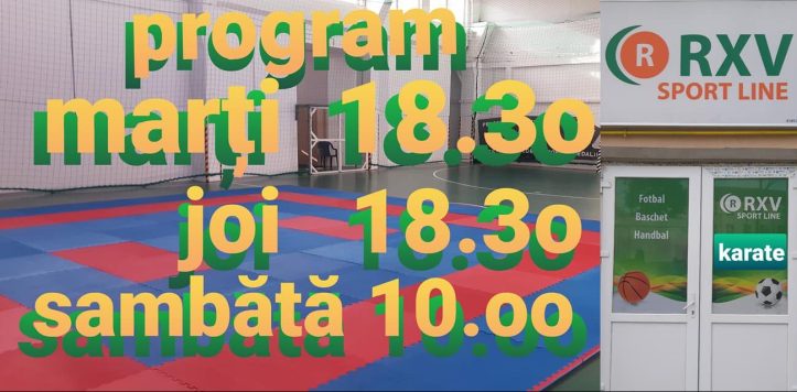 Main image of Club-karate Sfinx Bacau